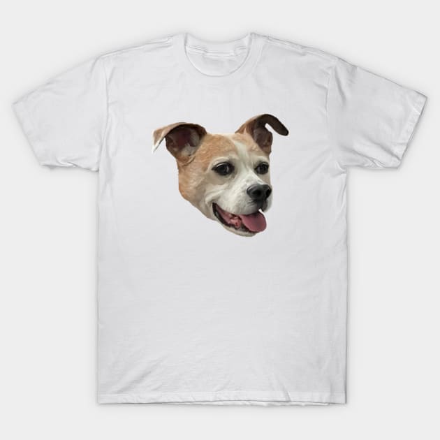 Jack Russell Terrier Mix - White Background T-Shirt by ArtistsQuest